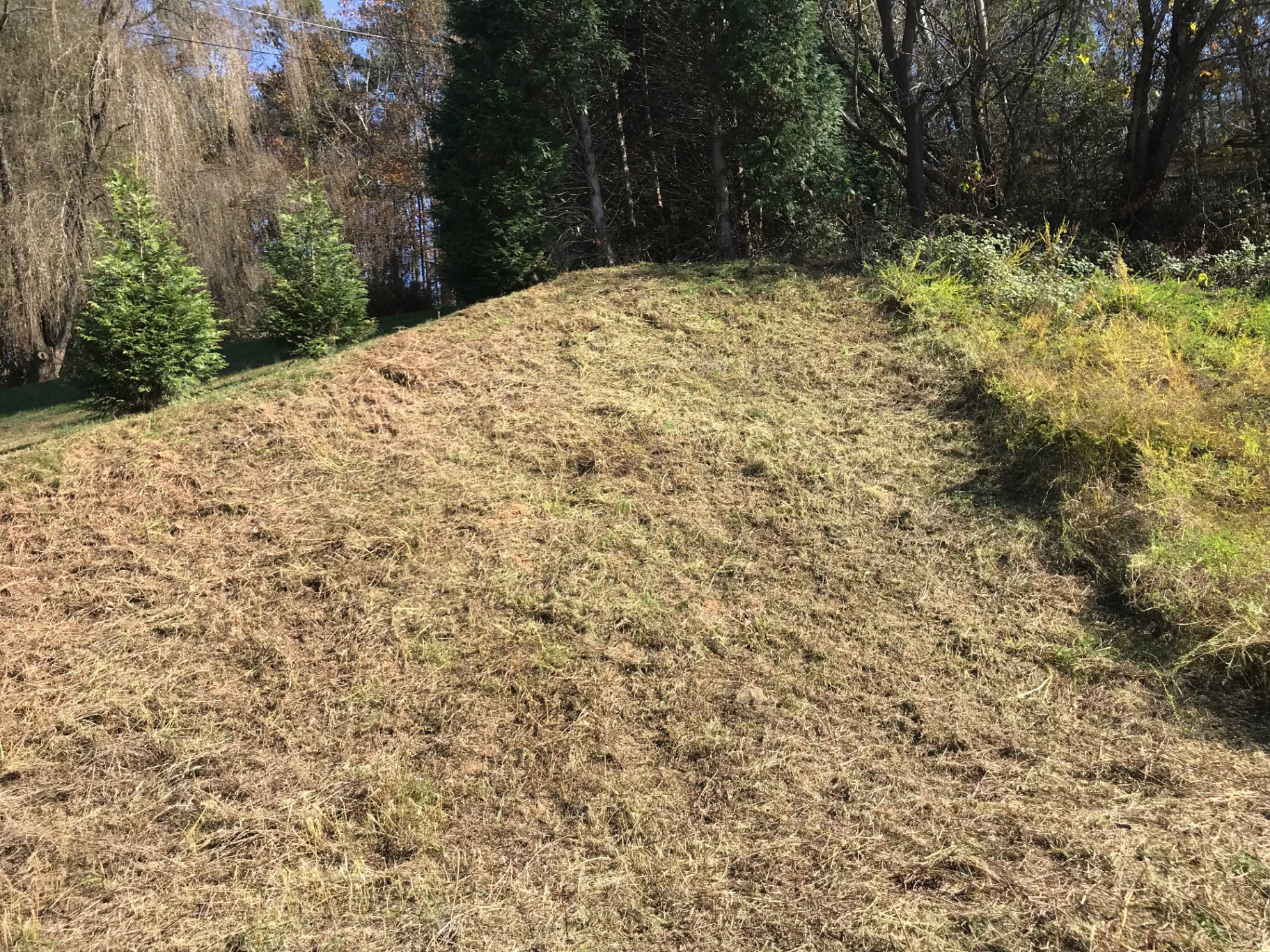 Cleared and cut hillside